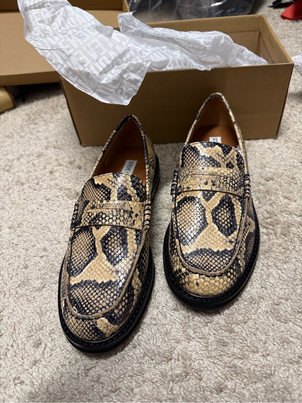 Steve Madden Snake-Print Penny Loafers in Beige and Black